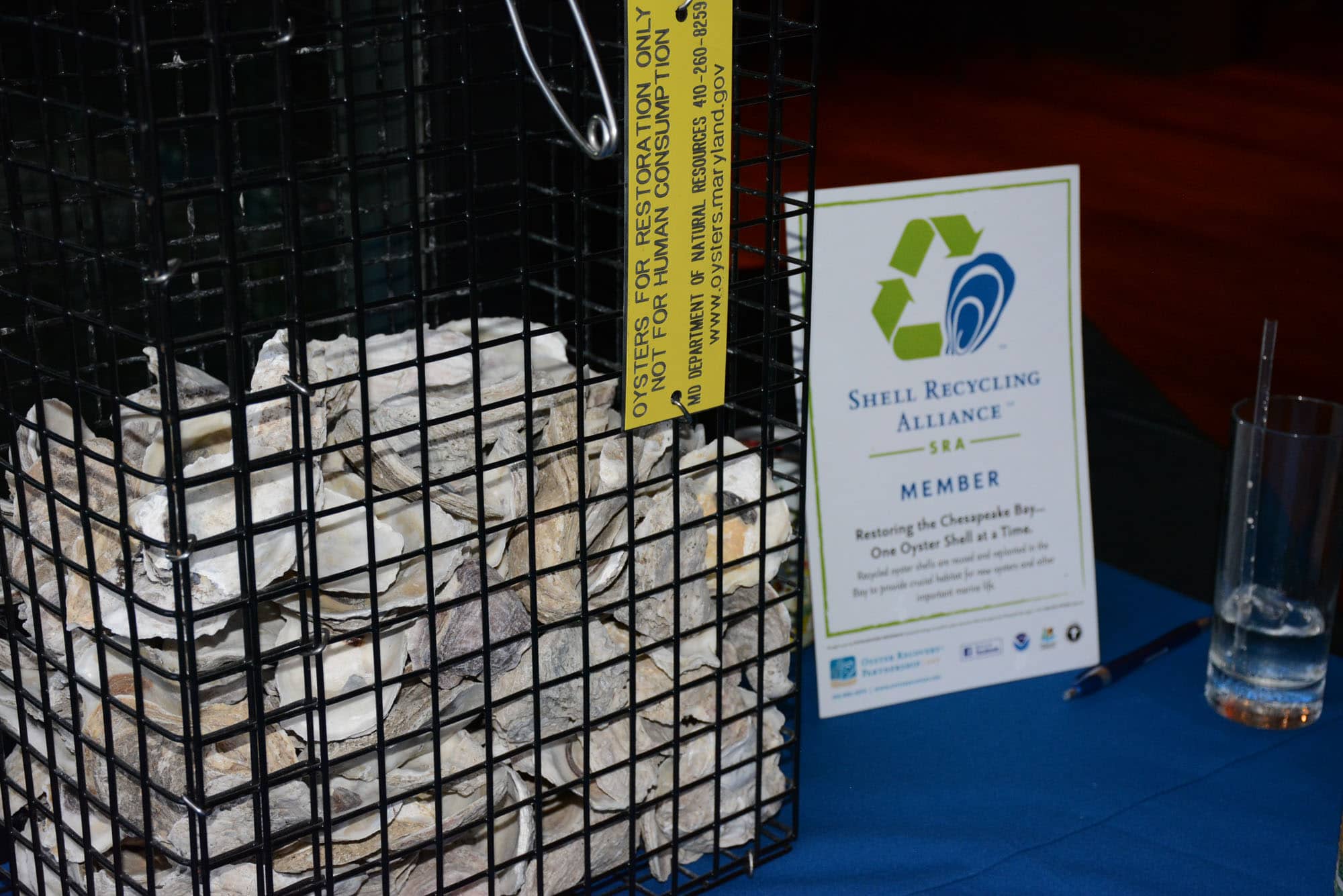 Guess how many oyster shells...